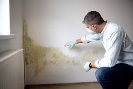 Omaha, TX Mold Inspection Company